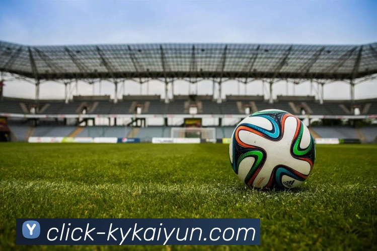 开云下载平台发展历程